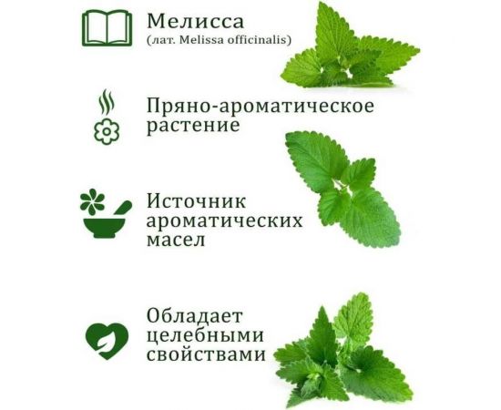 Набор для выращивания растений Вырасти,Дерево! Мелисса zk-035 – изображение 5