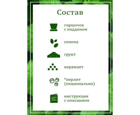 Набор для выращивания растений Вырасти,Дерево! Мелисса zk-035 – изображение 6