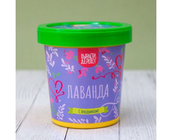 Подарочный набор для выращивания растений Вырасти,Дерево! Лаванда zk-116 – изображение 2