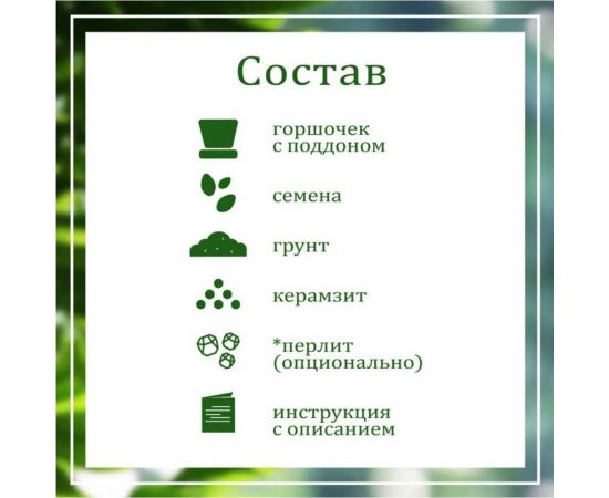 Подарочный набор для выращивания растений Вырасти,Дерево! Лаванда zk-116 – изображение 4