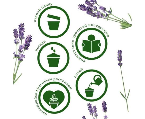 Подарочный набор для выращивания растений Вырасти,Дерево! Лаванда zk-116 – изображение 5