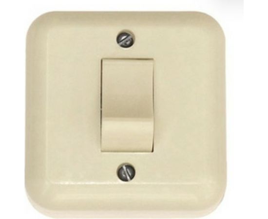 Одноклавишный выключатель ООО Ливны-Электро скрытой установки С1-002 УХЛ 4 слоновая кость ВСП 12 