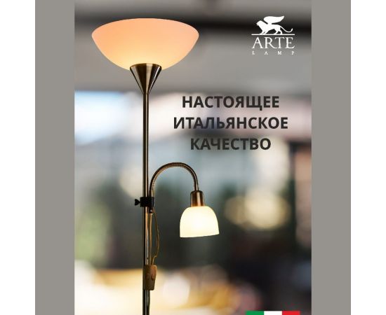 Напольный светильник Arte Lamp A9569PN-2AB – изображение 2