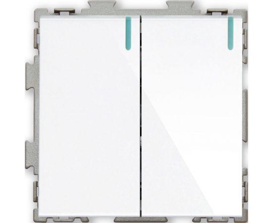 Двухклавишный выключатель CGSS белый "Практика" PL-W102-WCG 