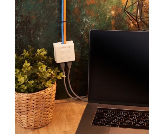 Сетевая розетка LAN REXANT на стену, 2 гнезда RJ-45 (8Р8С), 5e категории 06-0105-C – изображение 2