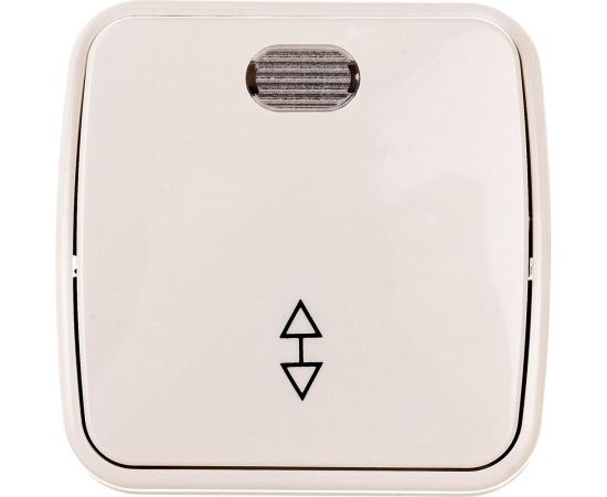 1-клавишный переключатель на 2 направления TDM открытой установки с подсветкой IP20 10А, слоновая кость Дача SQ1824-0019 – изображение 3