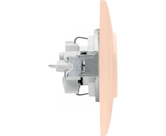 1-местная розетка EKF Валенсия, с заземлением 16А кремовая с защитными шторками PROxima EWR16-028-20 – изображение 4