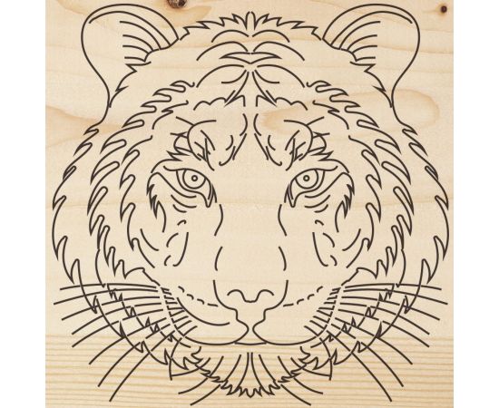 Доска для выжигания REXANT Тигр 12-0903 