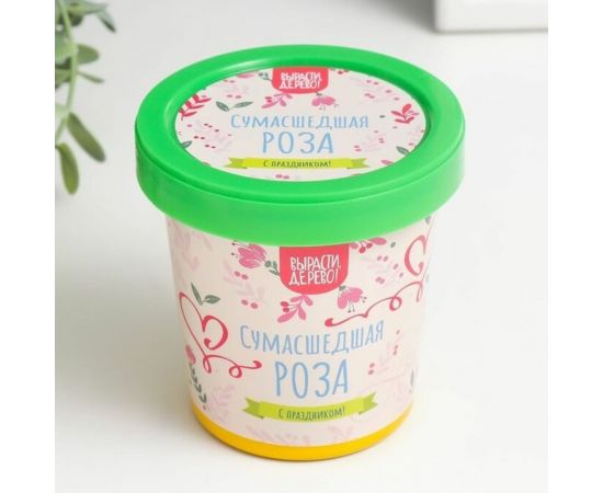 Подарочный набор для выращивания растений Вырасти,Дерево! Сумасшедшая роза zk-119 