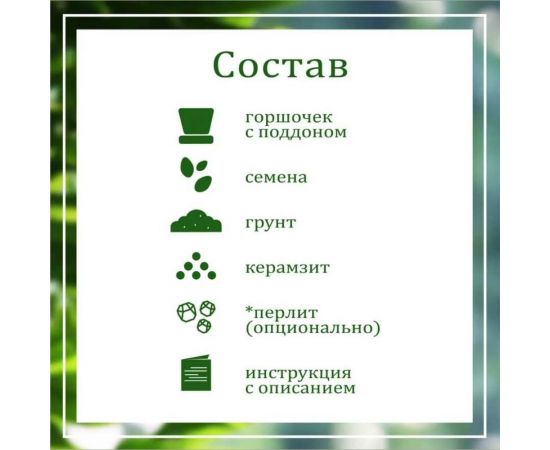 Подарочный набор для выращивания растений Вырасти,Дерево! Сумасшедшая роза zk-119 – изображение 3