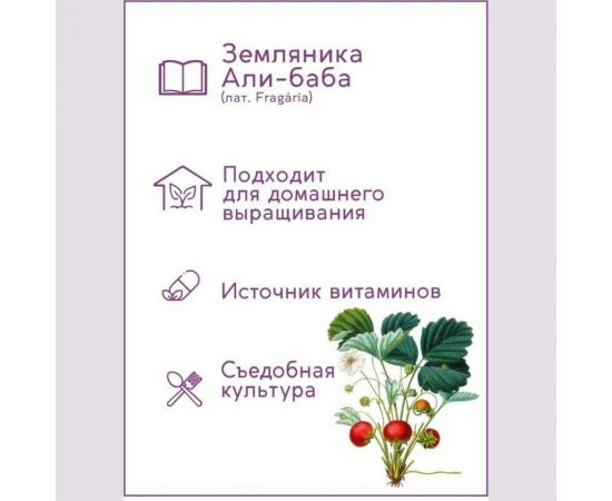 Набор для выращивания растений Тысяча Листьев Земляника Али-Баба tl-004 – изображение 4