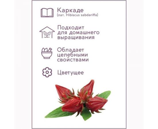 Набор для выращивания растений Каркаде Тысяча Листьев Гибискус сабдариффа tl-006 – изображение 4