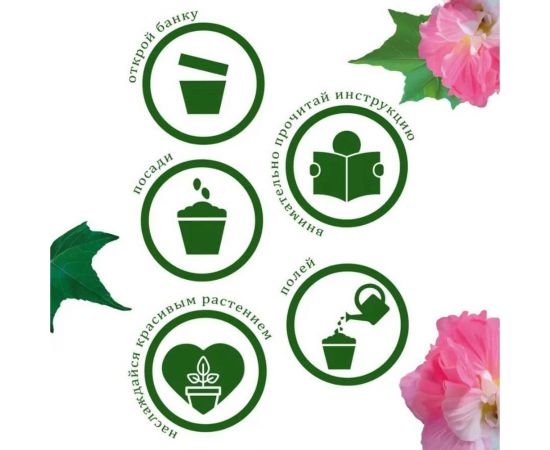 Подарочный набор для выращивания растений Вырасти,Дерево! Сумасшедшая роза zk-119 – изображение 4