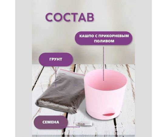 Набор для выращивания растений Тысяча Листьев Земляника Али-Баба tl-004 – изображение 5