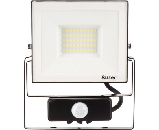 Светодиодный прожектор RITTER серия PROFI 230В 30 Вт 6500К 3000Лм IP65 черный с датчиком движения 53421 5 – изображение 5