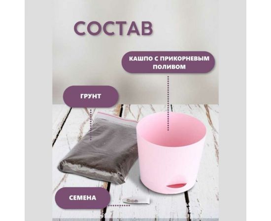 Набор для выращивания растений Каркаде Тысяча Листьев Гибискус сабдариффа tl-006 – изображение 5