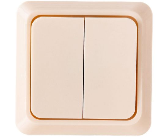 Двухклавишный выключатель TDM открытой установки, слоновая кость Ладога TDM SQ1801-0004 