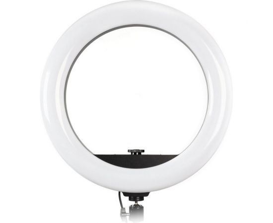 Кольцевая светодиодная лампа Smartbuy 36 см с держателем для телефона для профессиональной съемки SBL-TTL-14 