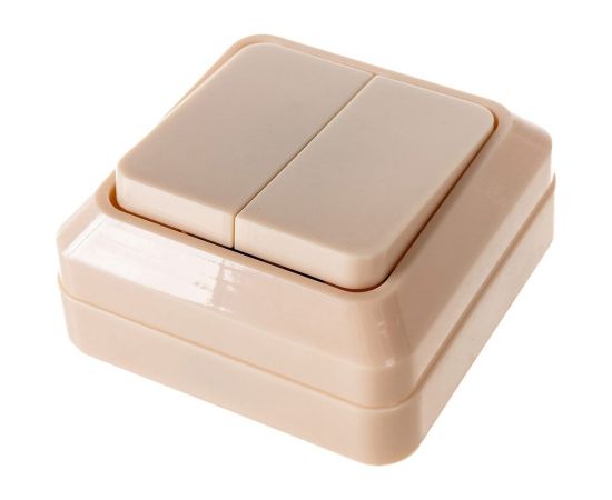 Двухклавишный выключатель TDM открытой установки, слоновая кость Ладога TDM SQ1801-0004 – изображение 2