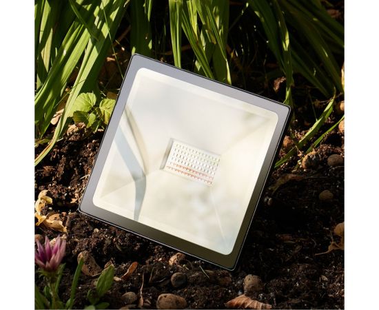 Светодиодный прожектор REXANT с пультом 50 Вт, свечение мультиколор RGB 605-013 – изображение 3