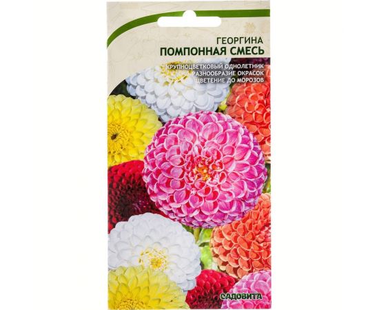 Семена САДОВИТА Георгин Помпонная смесь 0.2 г 00160707 – изображение 4