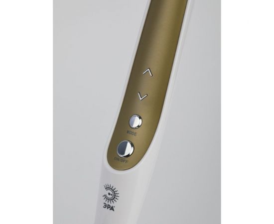 Настольный светодиодный светильник ЭРА NLED-497-12W-G на струбцине и с основанием, золото Б0052773 – изображение 9