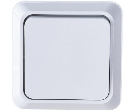 Одноклавишный выключатель Intro Quadro 2-101-01 10А-250В, IP20, открытая установка, белый, Б0053733 