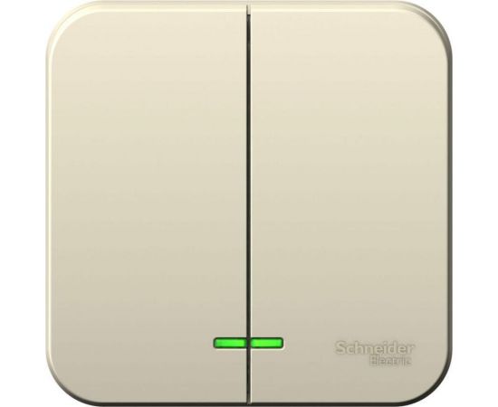 2-клавишный выключатель Schneider Electric BLANCA, открытой установки, с подсветкой, 6А, 250B, молочный BLNVA065112 
