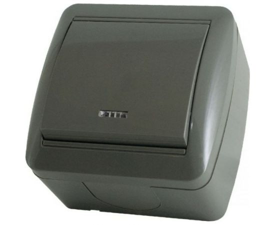 1-клавишный выключатель TDM открытой установки с подсветкой IP44 10А серый "Селигер" SQ1818-0103 