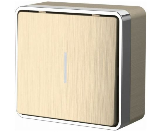 Одноклавишный выключатель с подсветкой Werkel W5010110 a051042 