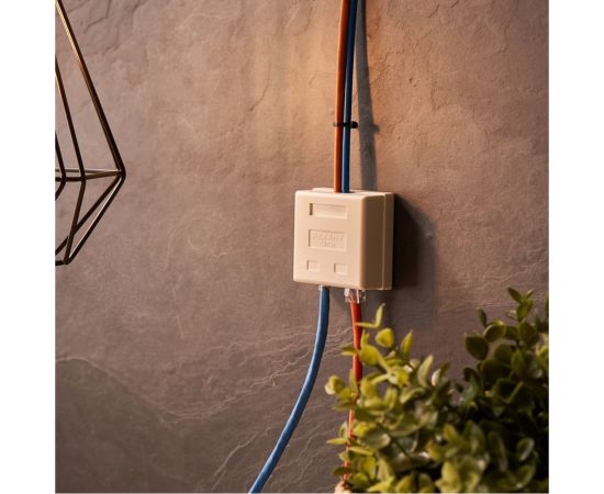 Розетка телефонная + сетевая LAN REXANT на стену RJ-45 (8Р8С) и RJ-11 (6Р4С) 06-0106-C – изображение 2