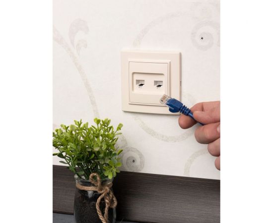 2-местная розетка EKF Минск RJ-45 СП бежевый ERK02-035-20 – изображение 6