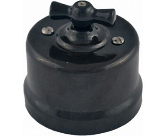 Переключатель BIRONI Лизетта Черный 1-клавишный B1-201-03 