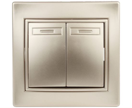 Двойной выключатель Intro 10А, 250В, IP20, СУ, Plano, шампань Б0030043 