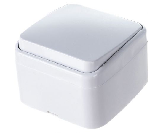 1-клавишный выключатель TDM открытой установки IP20 10А, белый ""Дача"" Народная SQ1824-0001 