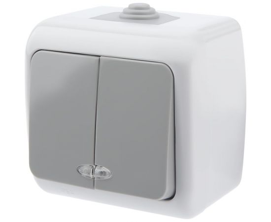 Выключатель Intro Atlantic 5-105-03 двойной с подсветкой 10А-250В открытой установки серый Б0050944 