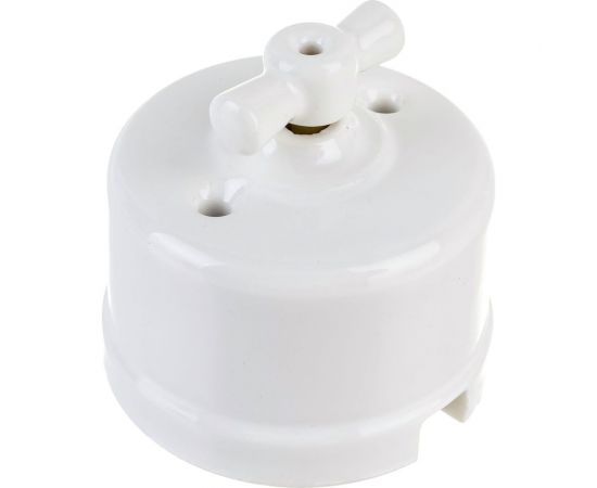 Двухклавишный выключатель Retrika, керамический, ретро цвет белый R-SW-21 – изображение 2