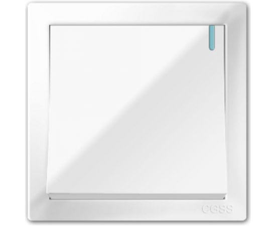 Одноклавишный выключатель CGSS белый "Практика" PL-W101-WCG – изображение 2