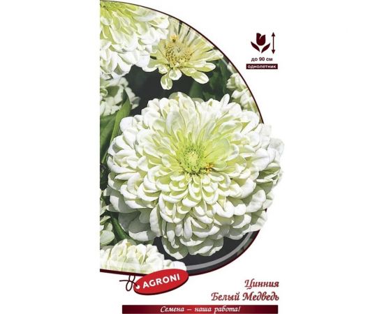 Семена Агрони Цинния георгиноцветная БЕЛЫЙ МЕДВЕДЬ 8146 – изображение 2