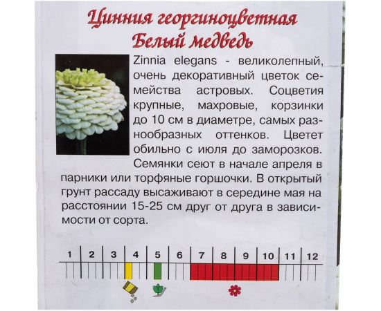 Семена Агрони Цинния георгиноцветная БЕЛЫЙ МЕДВЕДЬ 8146 – изображение 3
