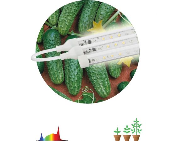 Модульный светильник для растений ЭРА FITO-3х10W-LINE-Ra90 полного спектра 30 Вт Б0049315 – изображение 4