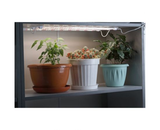 Модульный светильник для растений ЭРА FITO-3х10W-LINE-Ra90 полного спектра 30 Вт Б0049315 – изображение 5