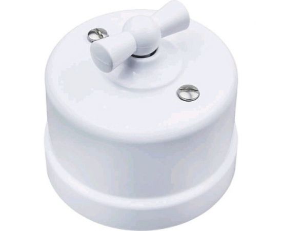 Переключатель BIRONI Пластик Белый 1-клавишный B1-201-21 