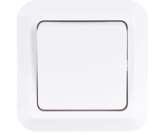 Выключатель Bylectrica 1-клавишная, скрытая установка 4А, серия Прочие изделия, белый, С14-003 