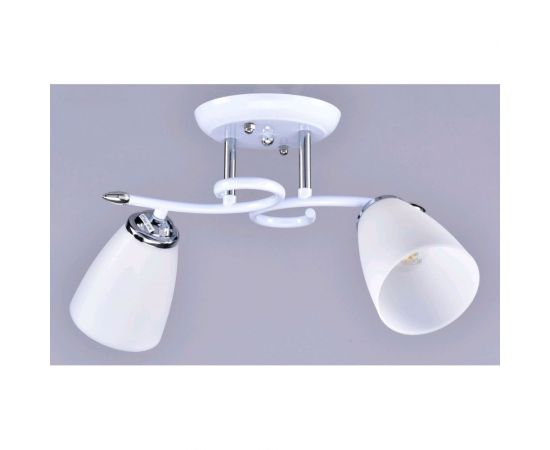 Потолочный светильник РОССВЕТ 2х20ВтхE27 РС22654/2 