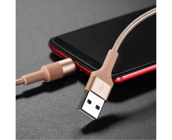Кабель USB Borofone BX21 для Type-C, 3.0А, длина 1м, золотой 762136 – изображение 2