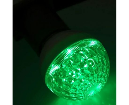 Светодиодная лампа-шар для украшения NEON-NIGHT диаметр 50 мм, цоколь е27, 10 LED, 1 Вт зеленая 405-614 – изображение 2
