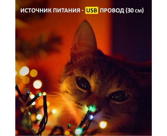 Гирлянда NEON-NIGHT Роса 2м, 20 диодов, USB, цвет RGB 315-959 – изображение 3