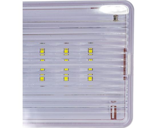 Аварийный светильник SLT, PL-0145A(AC/DC: пост. и непост. режимы свечения; IP 54) 10405 – изображение 5