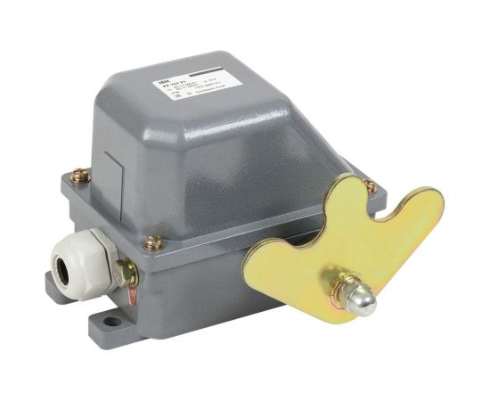 Концевой выключатель IEK КУ-704 У1, W-образный рычаг, 10А, IP44, 2 эл. цепи, KV-1-704-1 